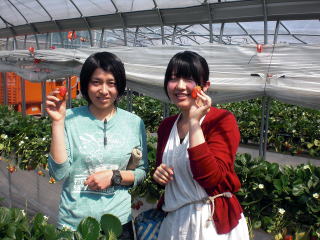 �_�Ƒ̌��A�����A�Â��A�����A�������A�򕌁A�b��