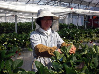 �_�Ƒ̌��A�����A�Â��A�����A�������A�򕌁A�b��