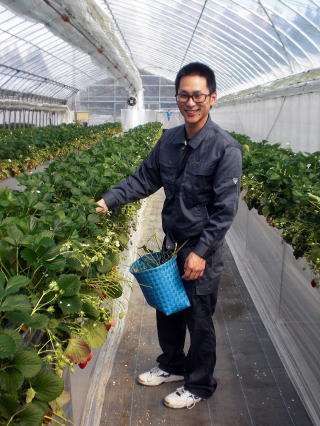 �_�Ƒ̌��A�����A�Â��A�����A�������A�򕌁A�b��