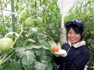 �_�Ƒ̌��A�����A�Â��A�����A�������A�򕌁A�b��