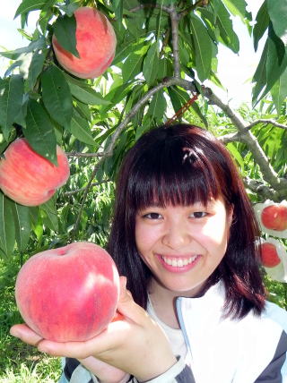 �_�Ƒ̌��A�����A�Â��A�����A�������A�򕌁A�b��