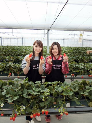 �_�Ƒ̌��A�����A�Â��A�����A�������A�򕌁A�b��