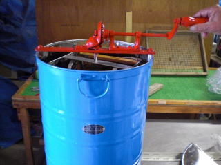 イチゴ狩り　甘い　大きい　岐阜