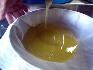 イチゴ狩り　甘い　大きい　岐阜