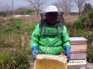 イチゴ狩り　甘い　大きい　岐阜