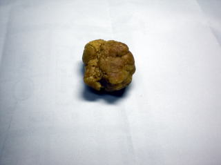 イチゴ狩り　甘い　大きい　岐阜