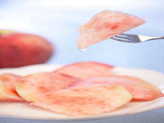 ���@�����@�����@�������@���̒������@���@�����@�����@�������@�e��@�b�߁@�������@�W�����@�C�`�S���A�Â��A�傫���A�b�߁A�y����