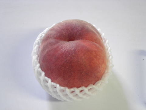 ���@�����@�����@�������@���̒������@���@�����@�����@�������@�e��@�b�߁@�������@�W�����@�C�`�S���A�Â��A�傫���A�b�߁A�y����