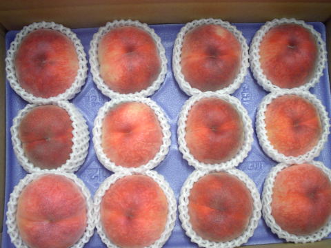 ���@�����@�����@�������@���̒������@���@�����@�����@�������@�e��@�b�߁@�������@�W�����@�C�`�S���A�Â��A�傫���A�b�߁A�y����