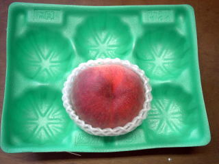 ���@�����@�����@�������@���̒������@���@�����@�����@�������@�e��@�b�߁@�������@�W�����@�C�`�S���A�Â��A�傫���A�b�߁A�y����