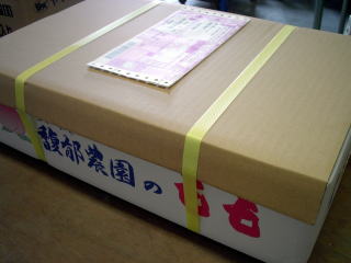 ���@�����@�����@�������@���̒������@���@�����@�����@�������@�e��@�b�߁@�������@�W�����@�C�`�S���A�Â��A�傫���A�b�߁A�y����