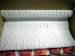 ���@�����@�����@�������@���̒������@���@�����@�����@�������@�e��@�b�߁@�������@�W�����@�C�`�S���A�Â��A�傫���A�b�߁A�y����