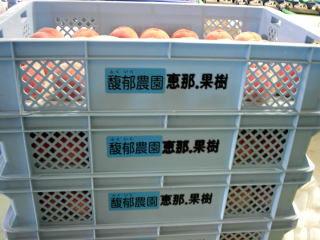 ���@�����@�����@�������@���̒������@���@�����@�����@�������@�e��@�b�߁@�������@�W�����@�C�`�S���A�Â��A�傫���A�b�߁A�y����