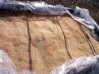 ���@�����@�����@�������@���̒������@���@�����@�����@�������@�e��@�b�߁@�������@�W�����@�C�`�S���A�Â��A�傫���A�b�߁A�y����